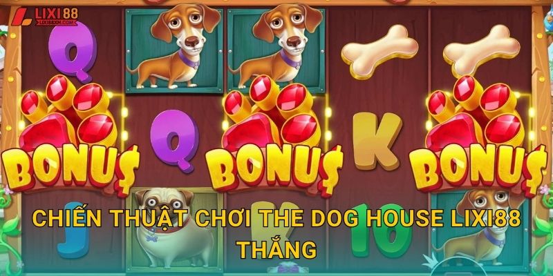 The Dog House Lixi88 - Ngôi Nhà Chó Vui Nhộn 3 Chiến thuật chơi The Dog House Lixi88 thắng