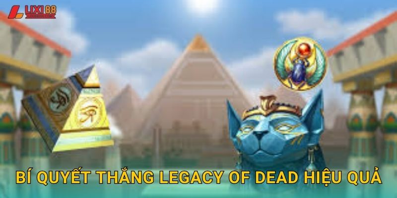 Bí quyết thắng Legacy of Dead hiệu quả
