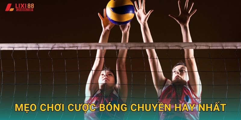 Mẹo chơi cược bóng chuyền hay nhất