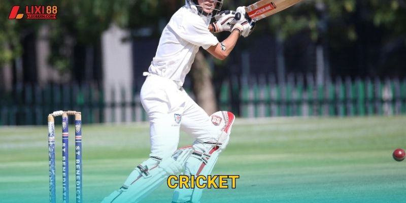 Cricket Lixi88 – Môn Thể Thao Vua Của Ấn Độ