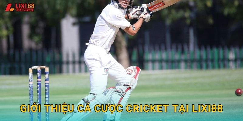 Giới thiệu cá cược Cricket tại Lixi88