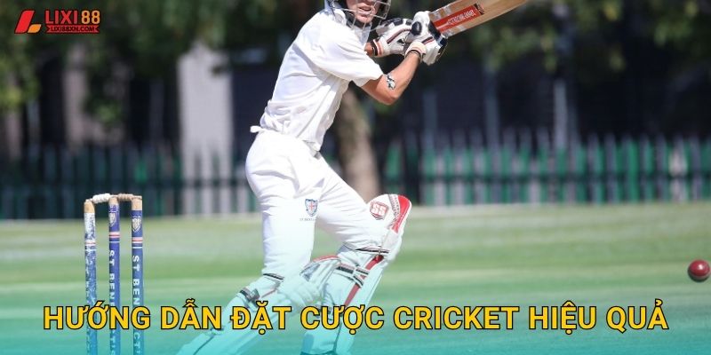 Hướng dẫn đặt cược Cricket hiệu quả